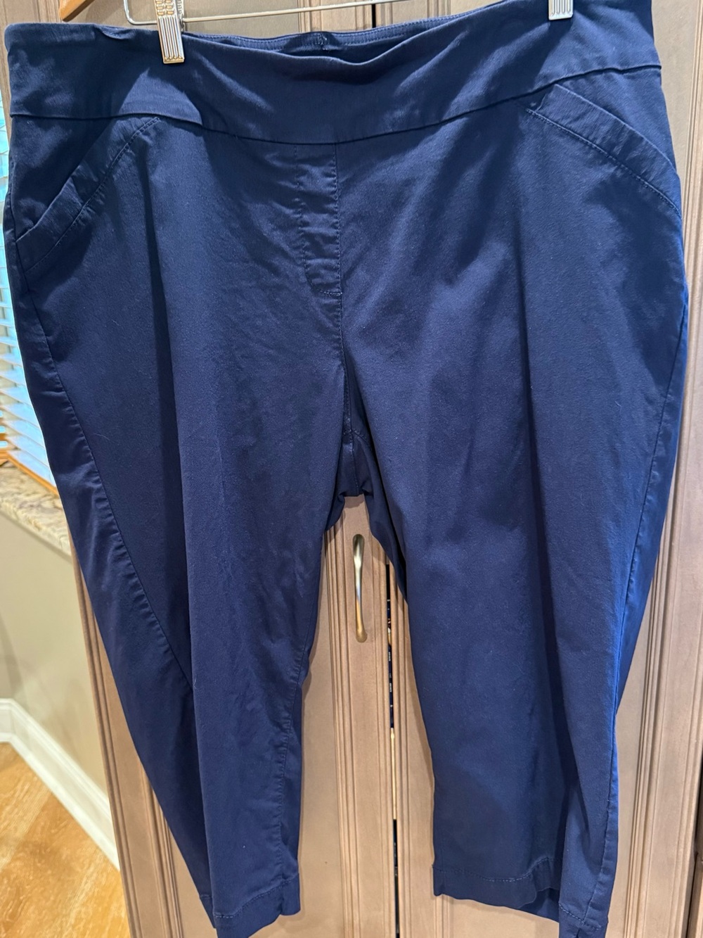 Kim Rogers Woman 20W Navy Stretch Capris